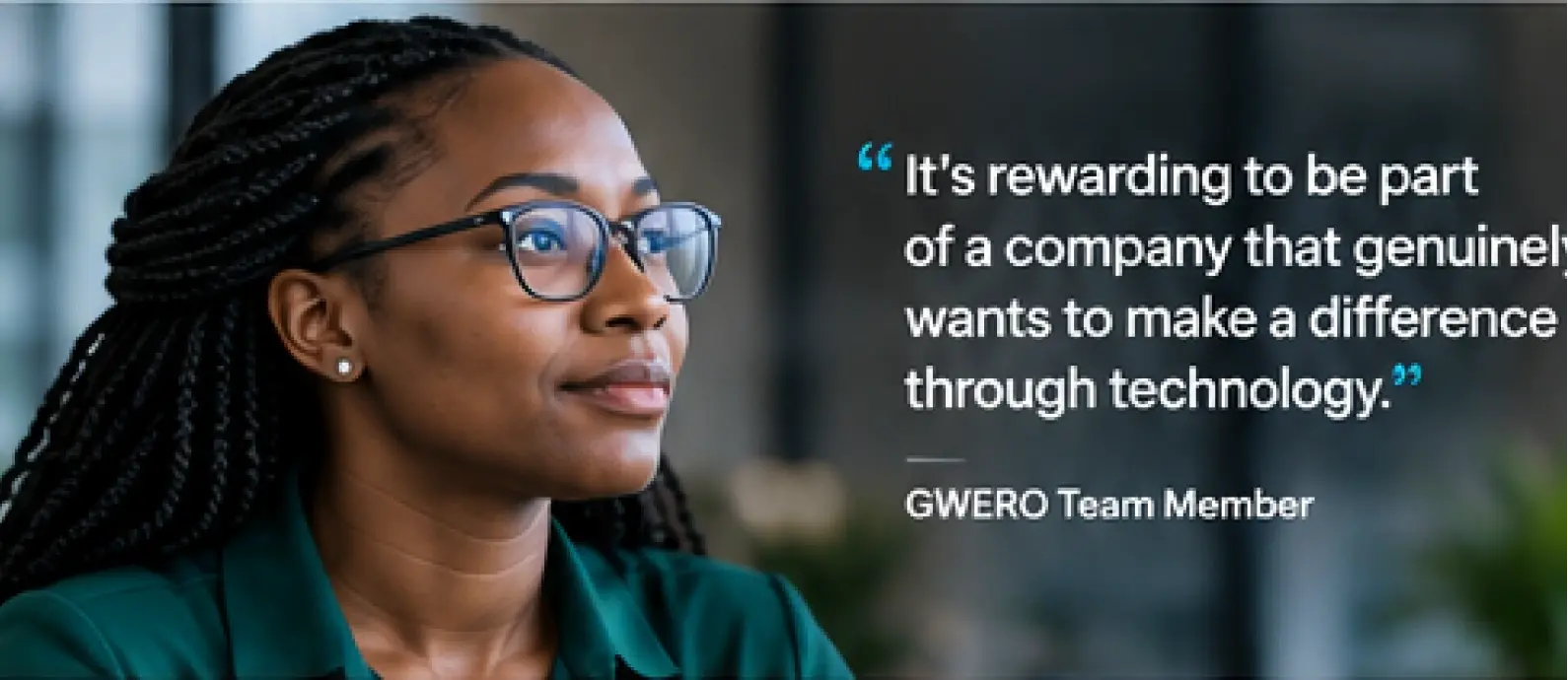 GWERO About GWERO team and workplace